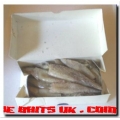 Squid (1lb Box Californian loligo)